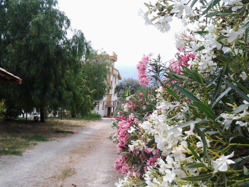 Rocca Di Monreale Bed & Breakfast Exterior foto